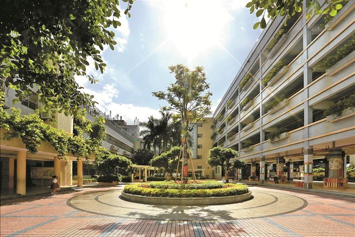 爱华小学"新基础教育"试验结硕果