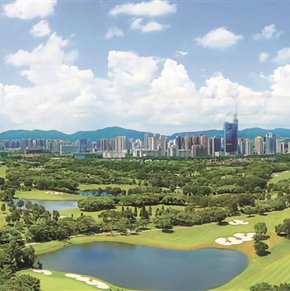 深圳高尔夫俱乐部球场用地即将被无偿收回,纳入香蜜湖片区规划