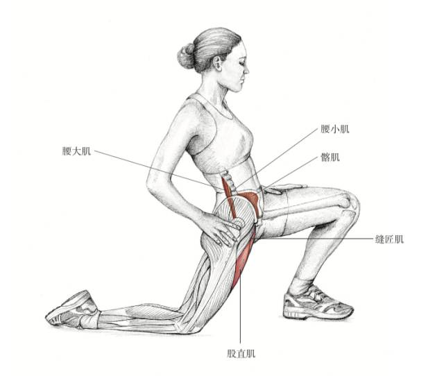 韧带拉伤?每个跑者都应该学一学这5个「拉伸」动作