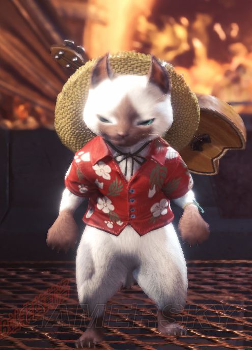 《怪物猎人世界》艾露猫全特殊服装获得方法及图鉴一览