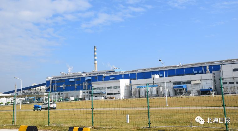 "粮多草广"! 第100万方机械采伐木材交付斯道拉恩索北海工厂