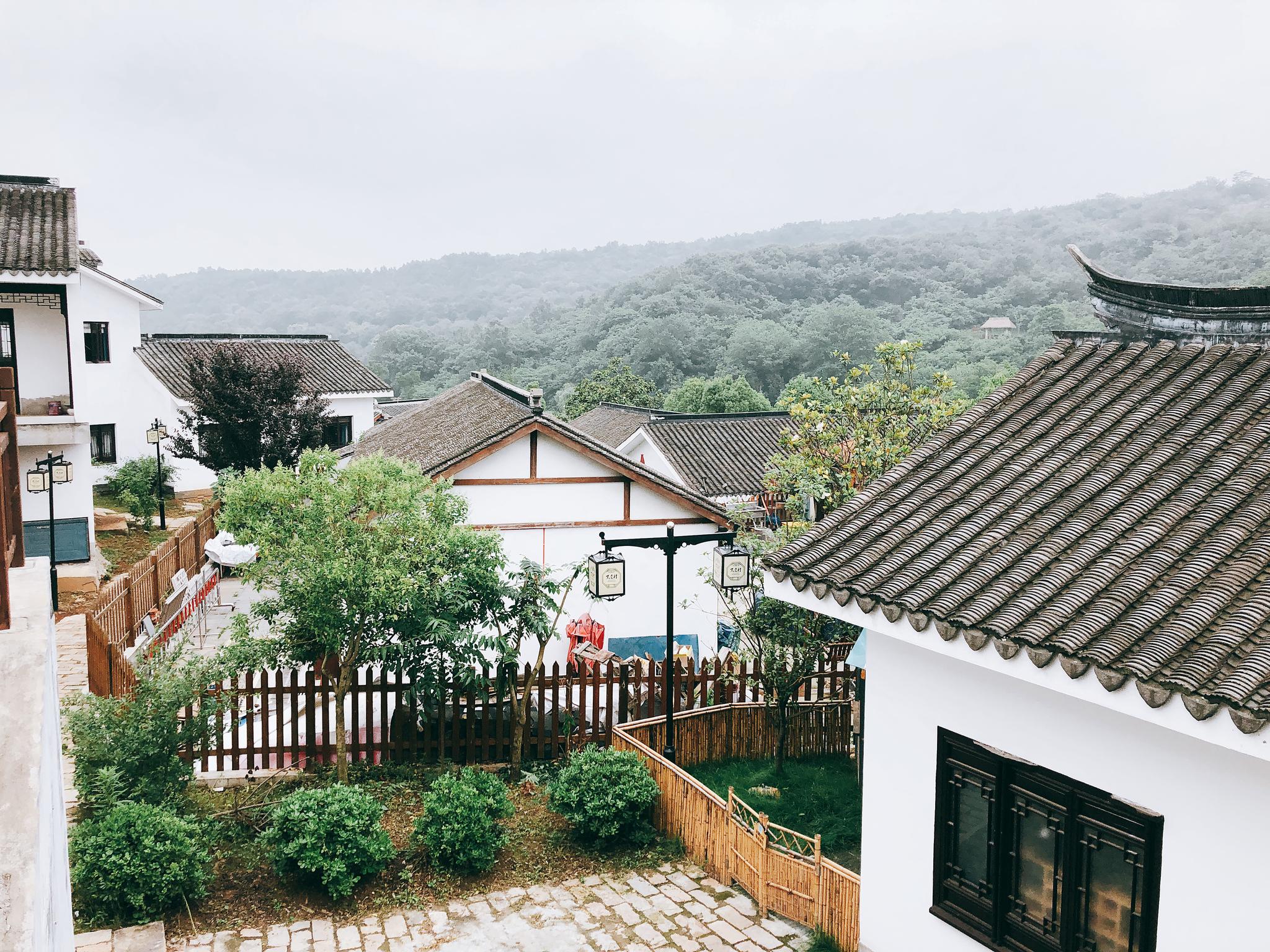 南京水墨大埝:山水林田融一体 美丽山村慢生活