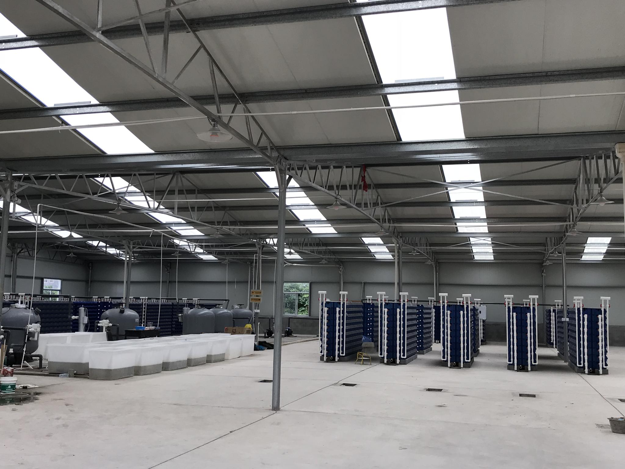 探索青蟹工厂化养殖 宁海青蟹养殖户有了博士徒弟