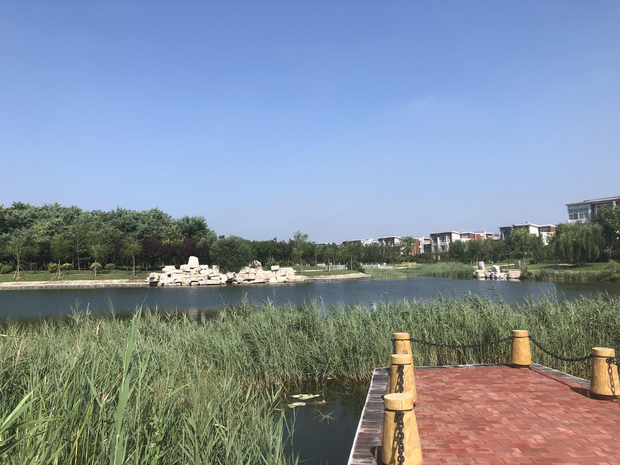 丽日湖边杂草长得太猖狂?开发区园林科自有办法