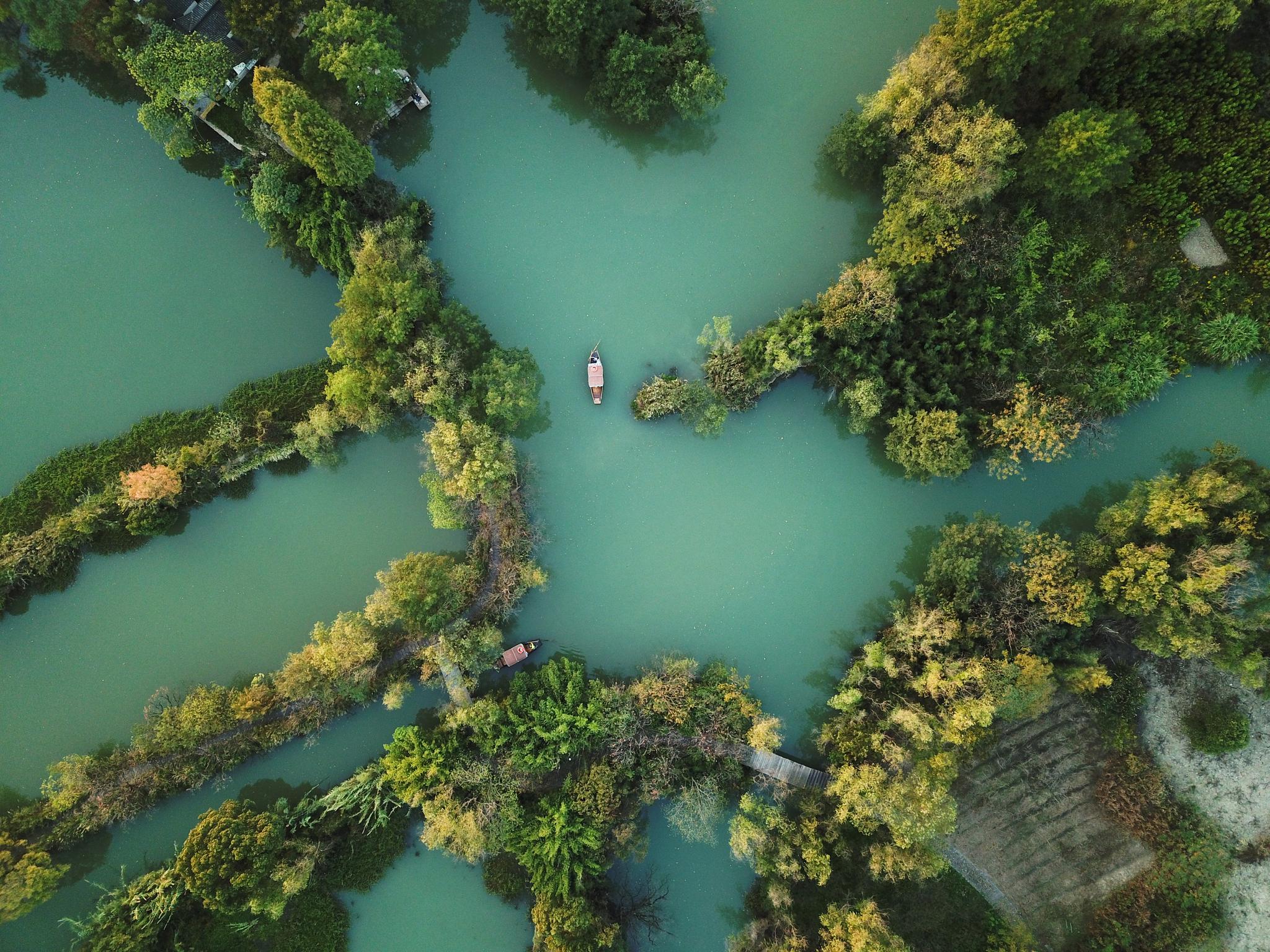 杭州:西溪秋色|无人机|西溪湿地|游船_新浪新闻