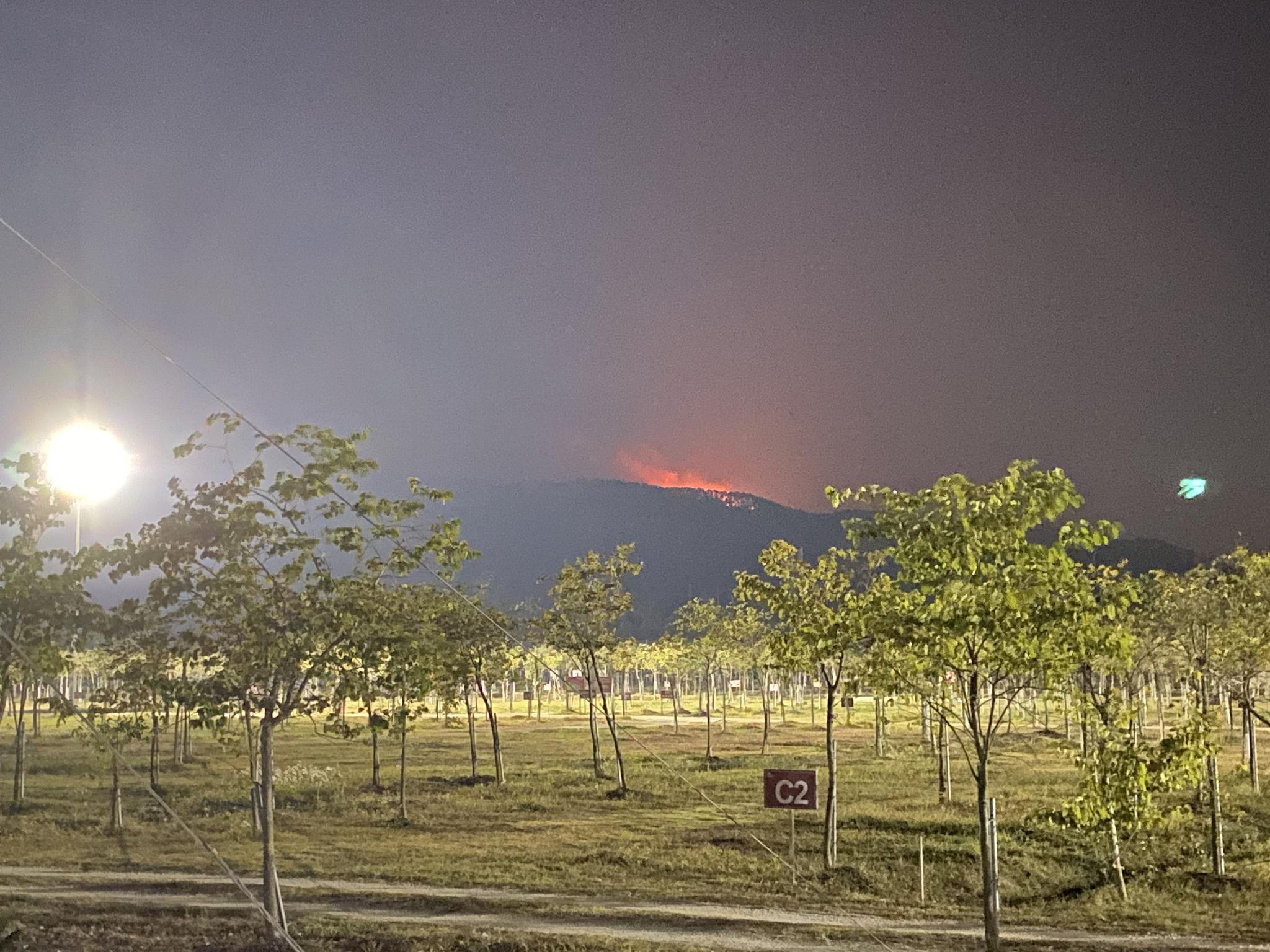 广东佛山山火基本扑灭三线 山顶被烧秃仍有浓烟