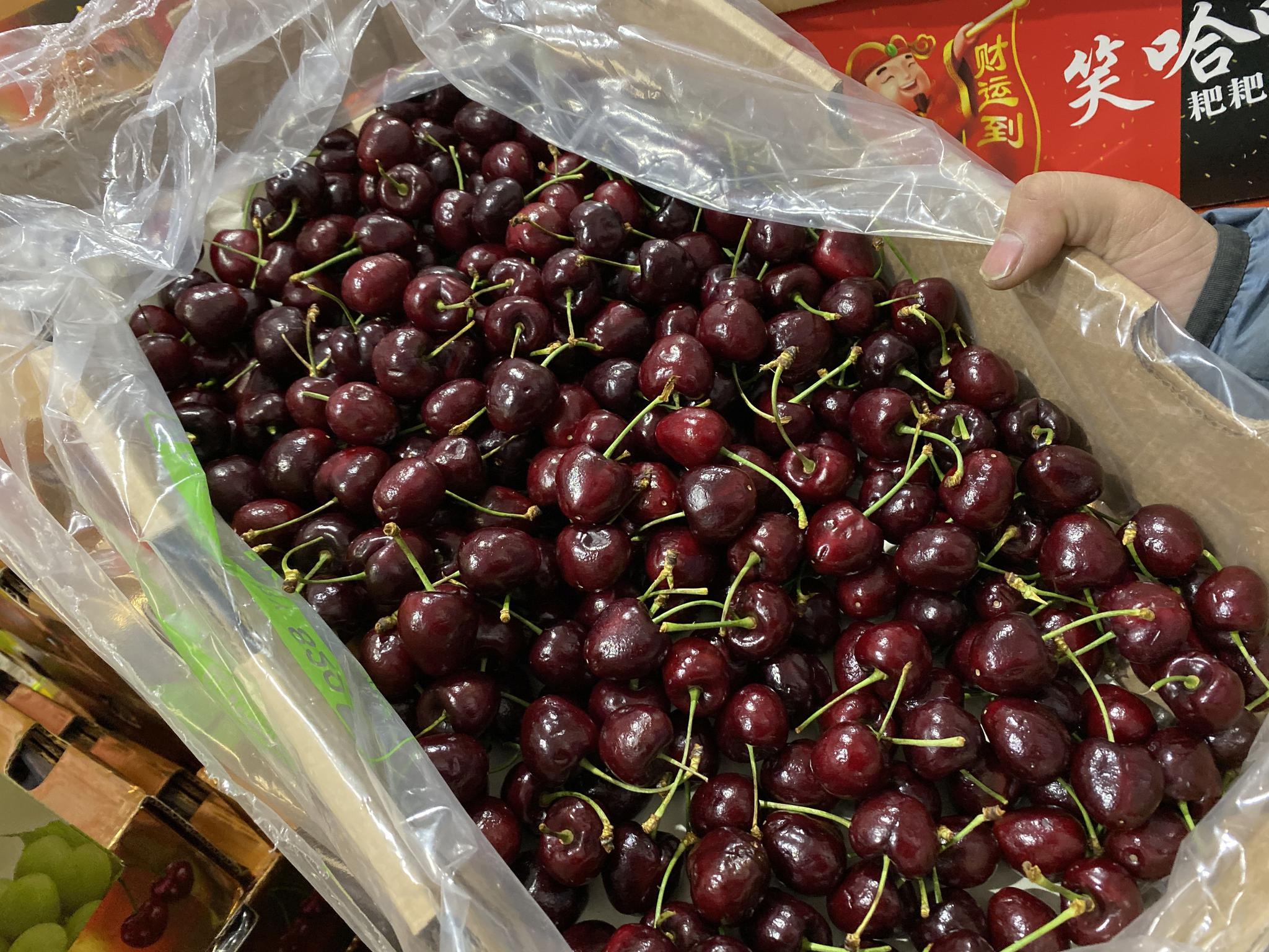 新鲜的车厘子。新京报记者 景啸尘 摄