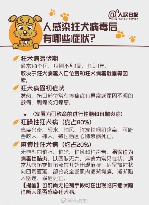 6岁男童注射狂犬疫苗13天后死亡!中国人对于狂犬病究竟存在多少误区?