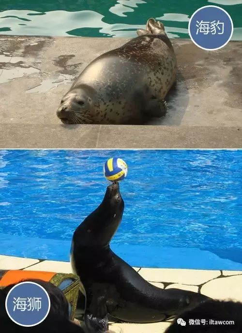 金杯大海狮6座商务车