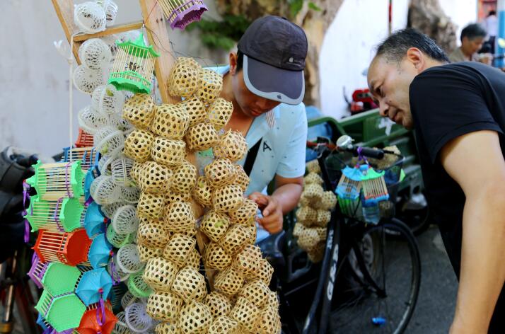 蝈蝈新鲜上市你想不到老南京竟然用它制作蝈蝈笼