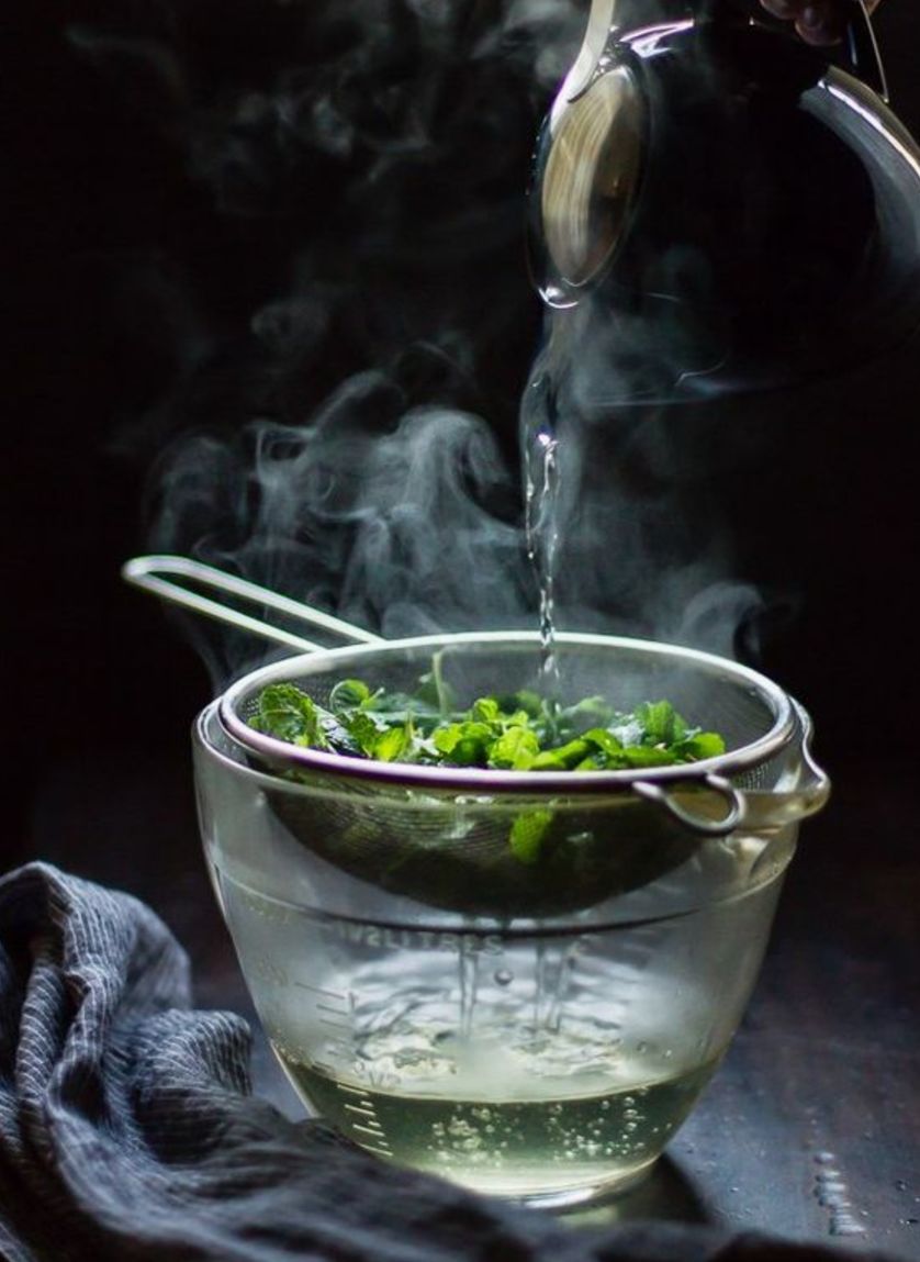 清明时这种叶子神通广大长跑三十年不如用它一年