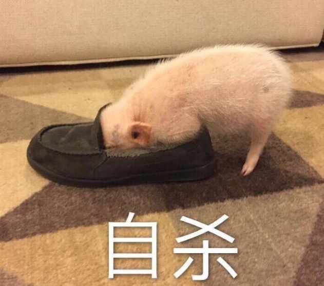 落落无尘我说,"你就当我死了吧!"教练问我,"你失踪了嘛?