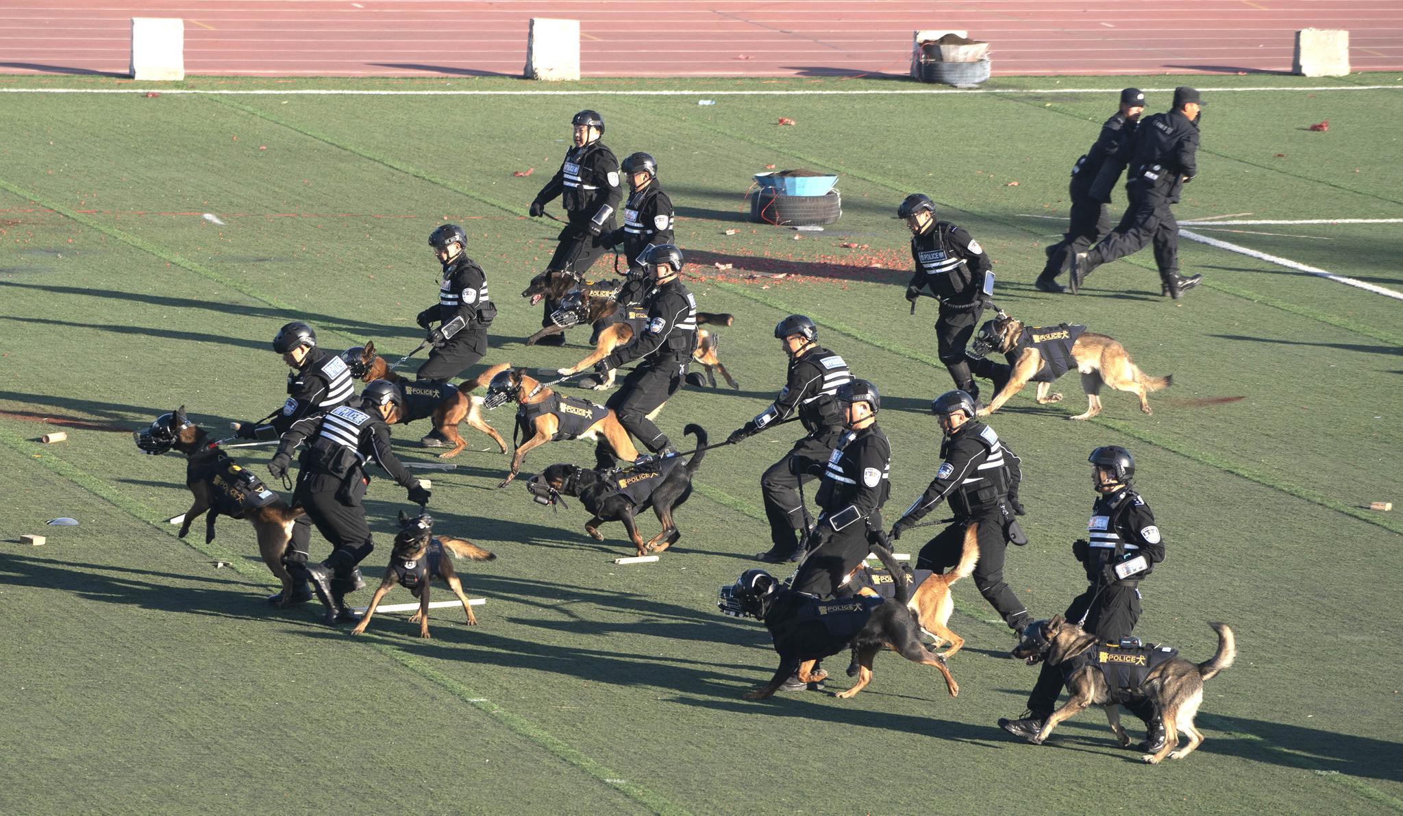 11月16日,第五届全国警犬技术比赛闭幕式及警犬技战术汇报演练在北京