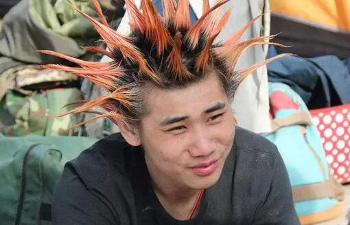 比如这种,要是那日看的不仔细,恐怕还以为他真的顶了个蜥蜴.