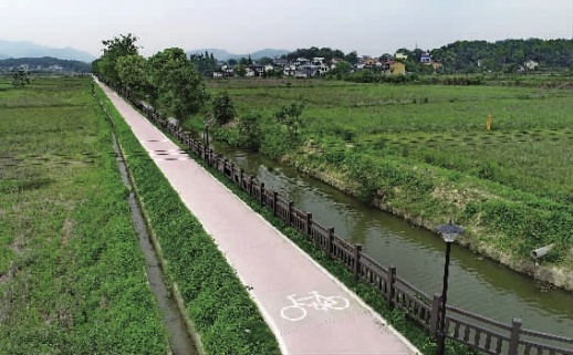 田间自行车道