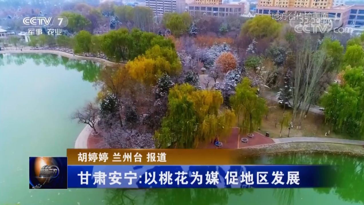 兰州桃花旅游节亮相央视cctv7频道