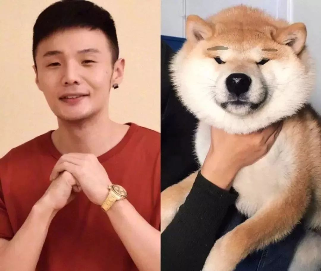 继孙红雷撞脸牛头梗后,惊现狗界李荣浩