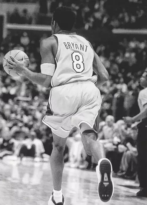 1996年nba的新秀被称为黄金一代,在这年的新秀中有太多的nba球星.