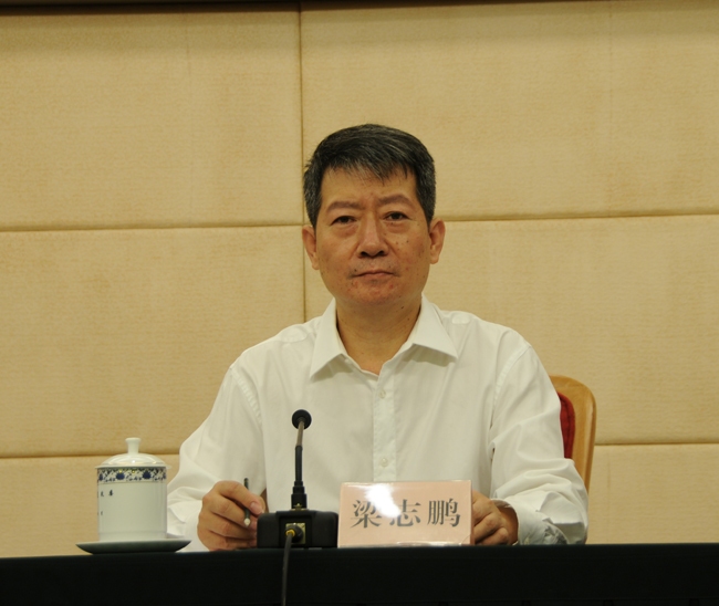 国家能源局新能源和可再生能源司副司长 梁志鹏以下为文字实录:记者