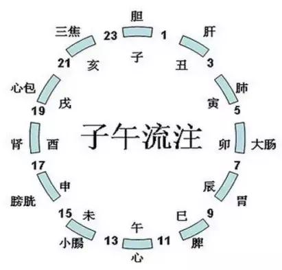 子午流注十二时辰养生图解!收了吧!