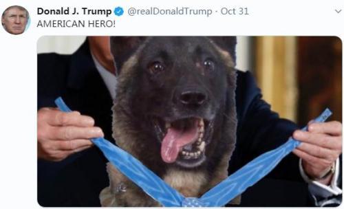 资料图：特朗普发布了一张合成照片，假装为这只名为“柯南”的比利时马利诺犬颁发了一枚勋章。（图片来源：社交网站截图）