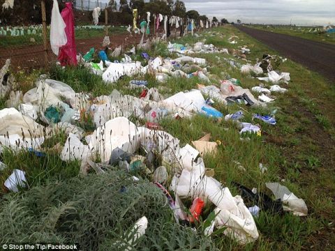 成千上万的垃圾被风吹到邻居房子里,这个垃圾场或面临罚款