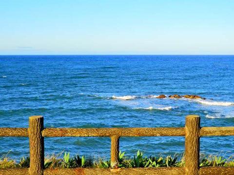 消失的小岛如果存在,应该位于照片左上方位置(朝日新闻)