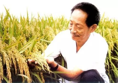 今天这位镇江人被誉中国桥梁之父为何他建桥又炸毁并誓言不复原桥不