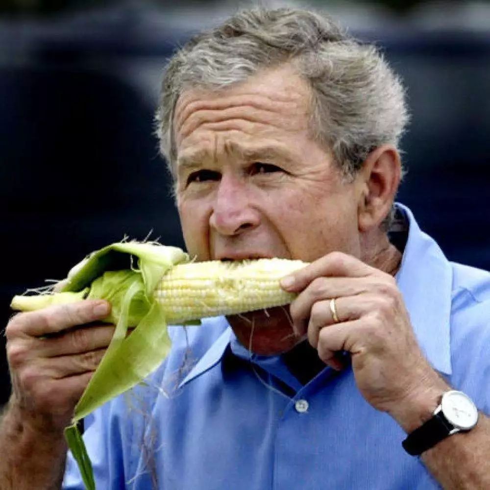 在充当佣人之外,小布什还开始学起了画画.