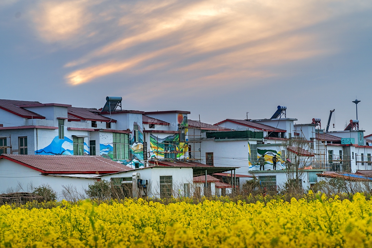 罗文入画|罗文|罗文村|霞光_新浪新闻