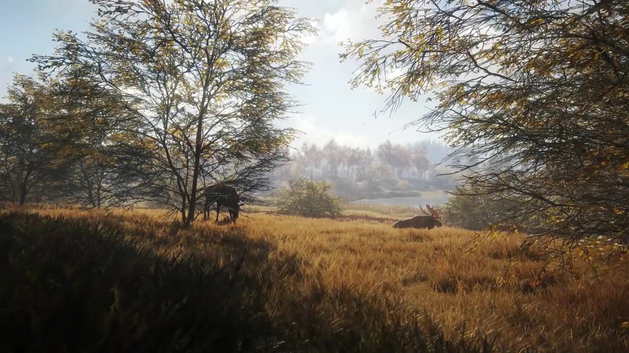 thq nordic《猎人:荒野的呼唤》2019版登陆steam