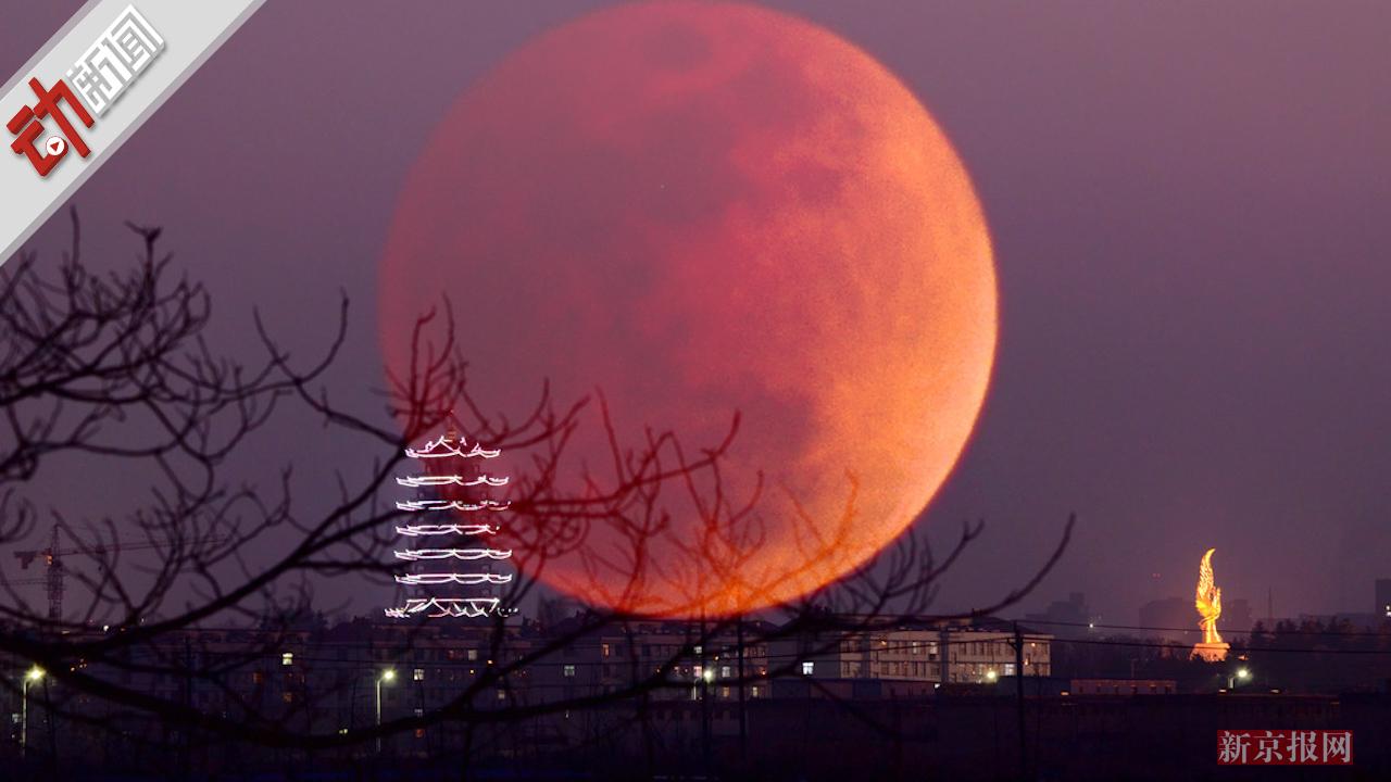 2021今晚红色月亮图片