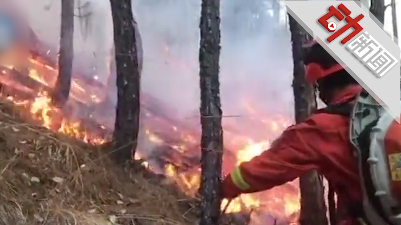 四川凉山三县森林火灾现场:千人扑救 一县明火
