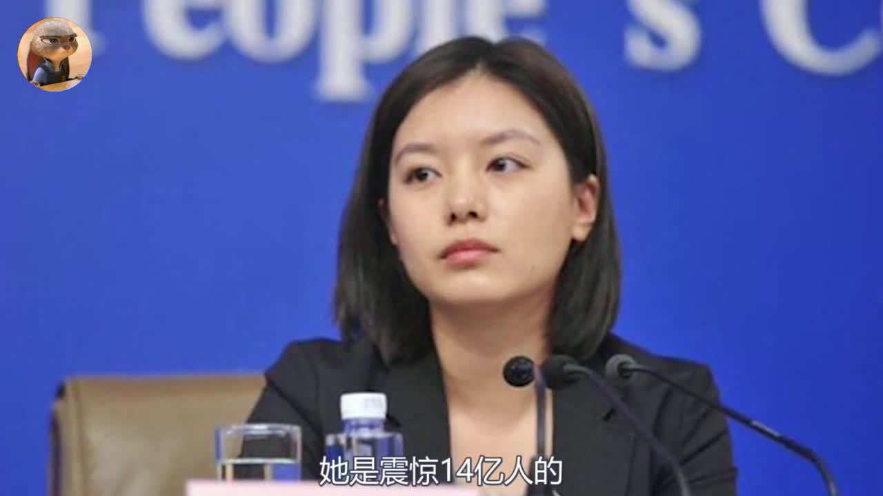 震惊14亿人的冷美人翻译官张京。。。太励志了_手机新浪网