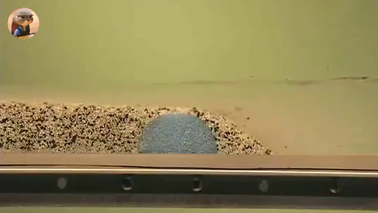 在河里装一个堰后观察泥沙沉积状况的变化.