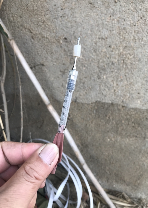 摩托男流窜街头毒针杀狗再偷走村民怀疑为卖狗肉