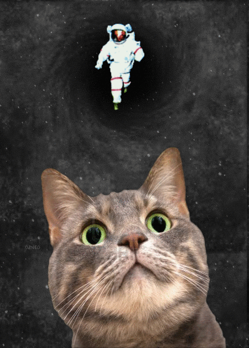 卡西欧太空人壁纸gif图片