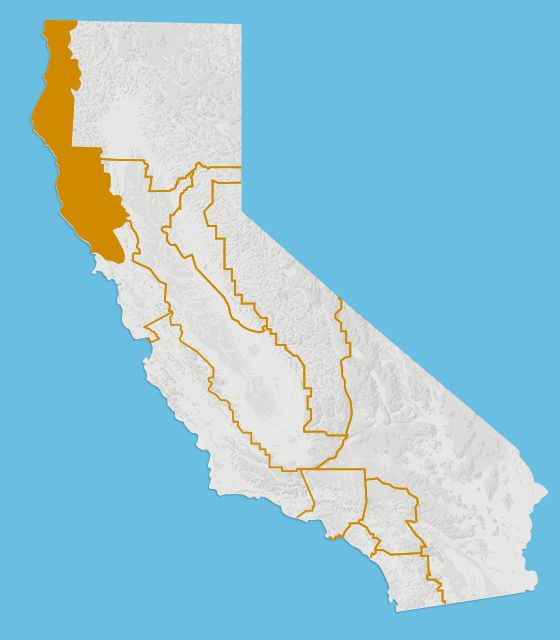 这里有一份来自加州的美食攻略请查收更有机会赢取往