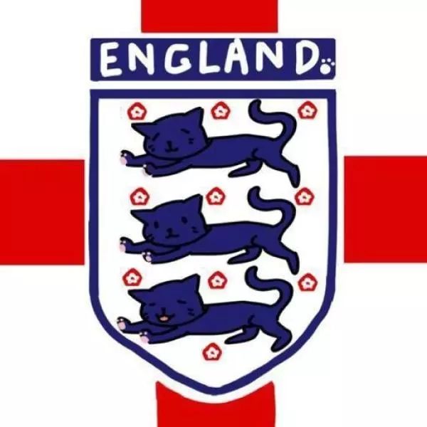 "英超一队"比利时顺利拿下3分,作为"英超二队"的英格兰也没让人失望.