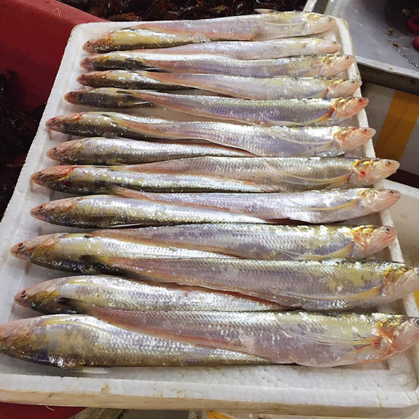 长江刀鱼已经禁捕那市面上怎么会有江刀主管部门有话说