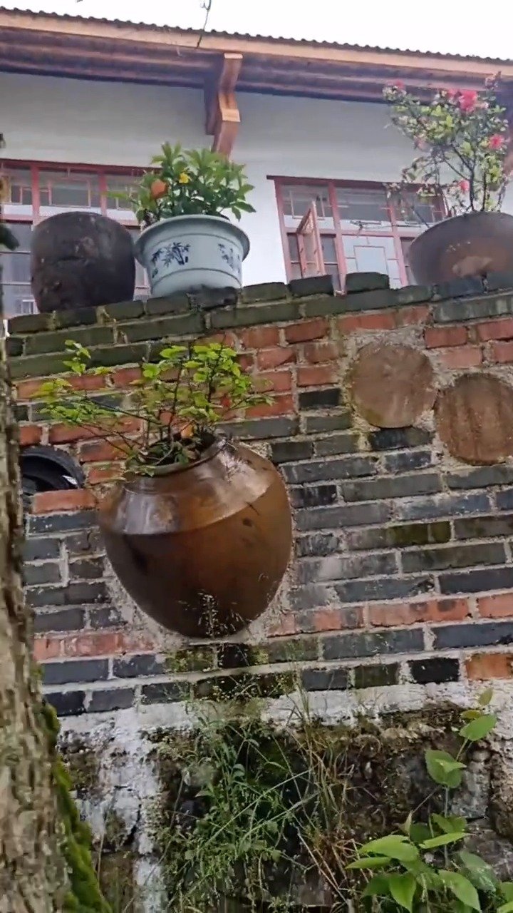 偶然发现一家特别有意思的农家小院的围墙.