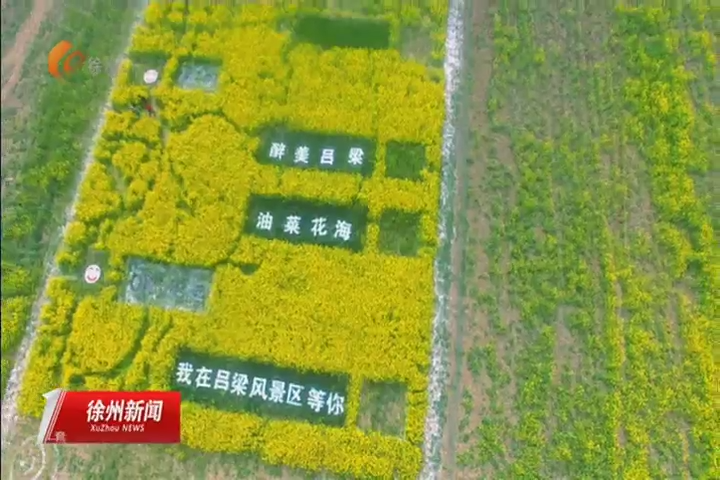 美丽乡村土生金 赏花经济带动乡村振兴