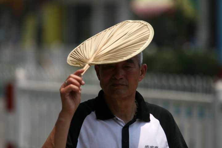转遍整座杭城都找不到 奶奶摇起的老底子蒲扇成记忆