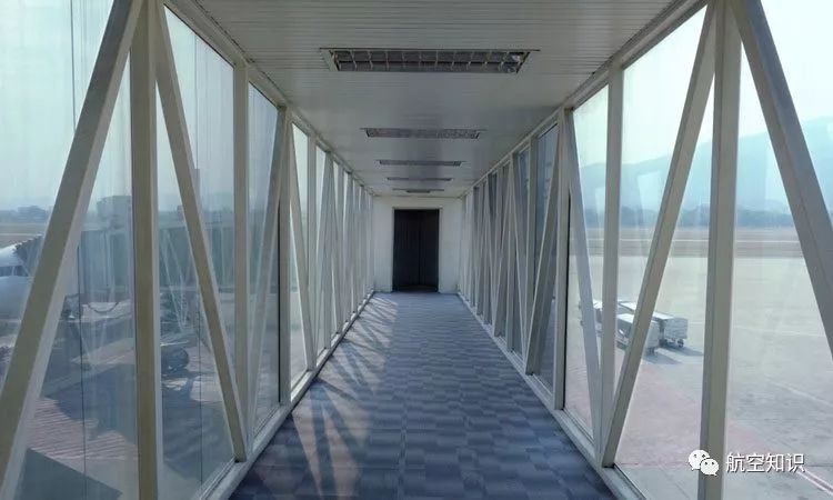 撒币的又来了!飞机廊桥和摆渡车哪个挡得住他……们?