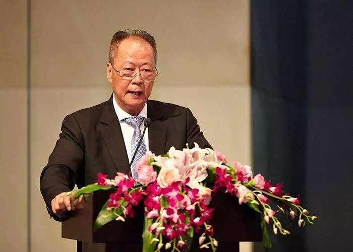 星河控股集团董事长黄楚龙