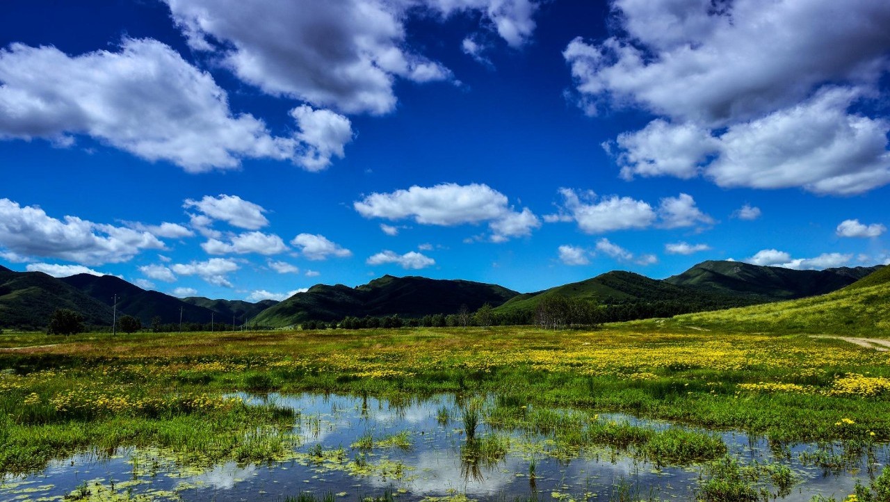 翠绿罕山 把我带进思念的梦乡