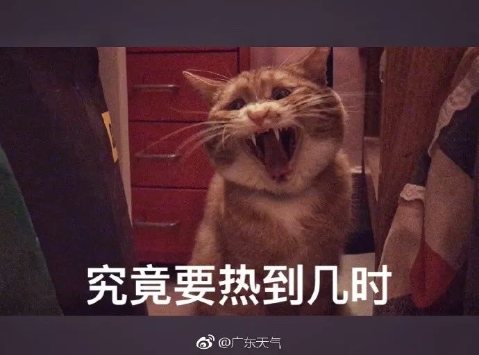 热热热!中山继续回暖!但即将"杀"到的强冷空气会很虐!