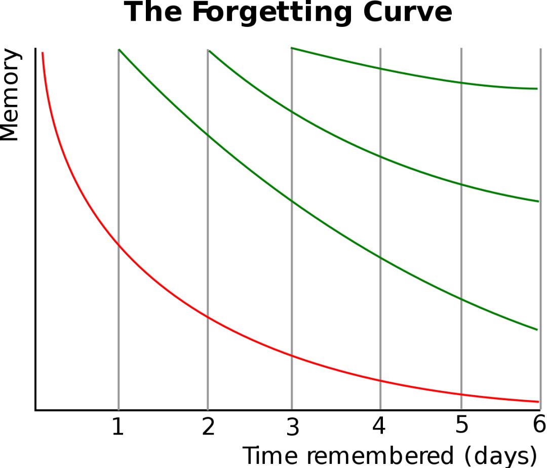 所谓的"遗忘曲线"(forgetting curve),会在你学习后 24 小时内出现最