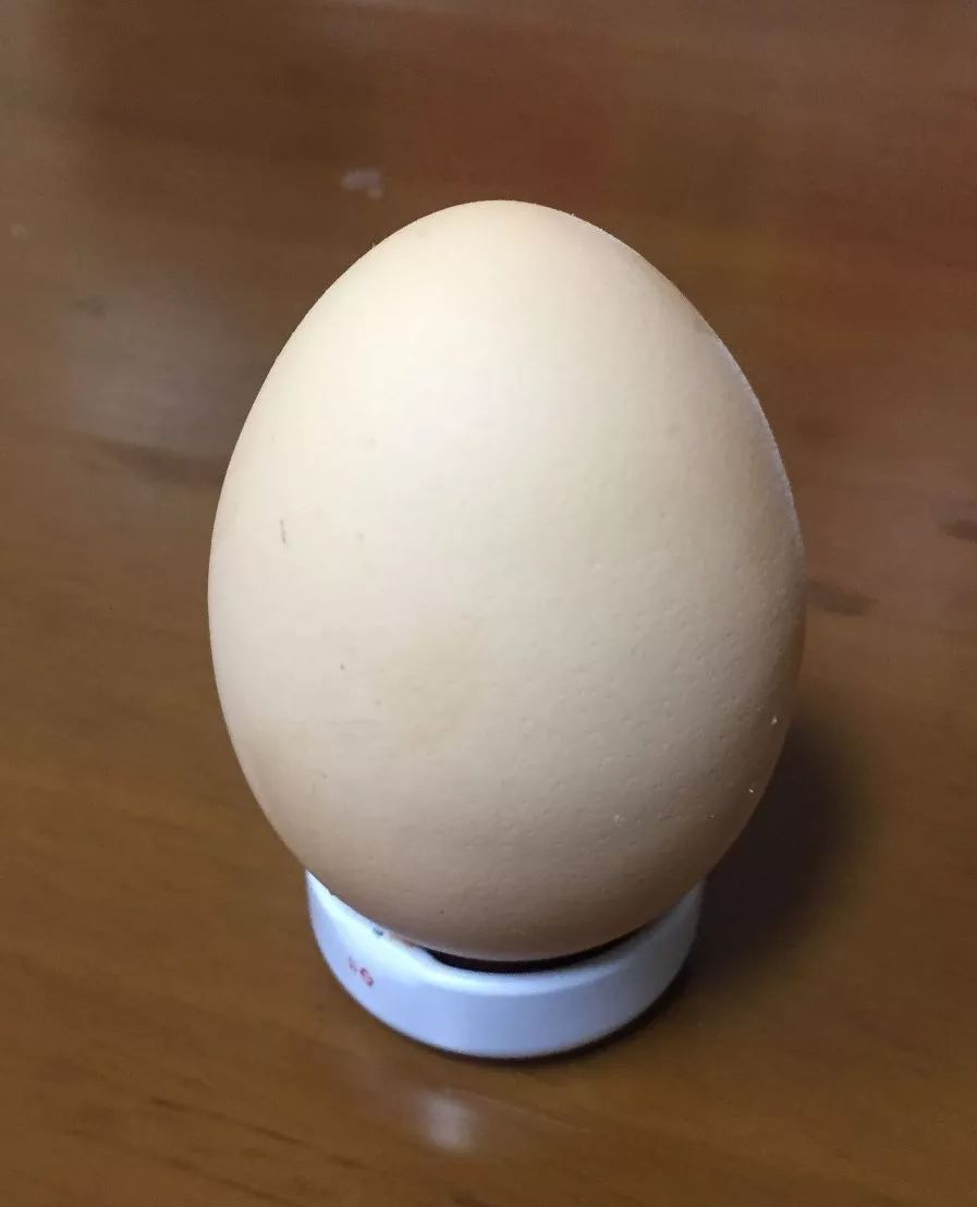 鸡蛋|蛋儿|蛋黄_新浪新闻