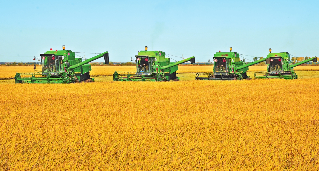 黑龙江全国最大优质粳稻主产区|机械|水稻|大米_新浪新闻